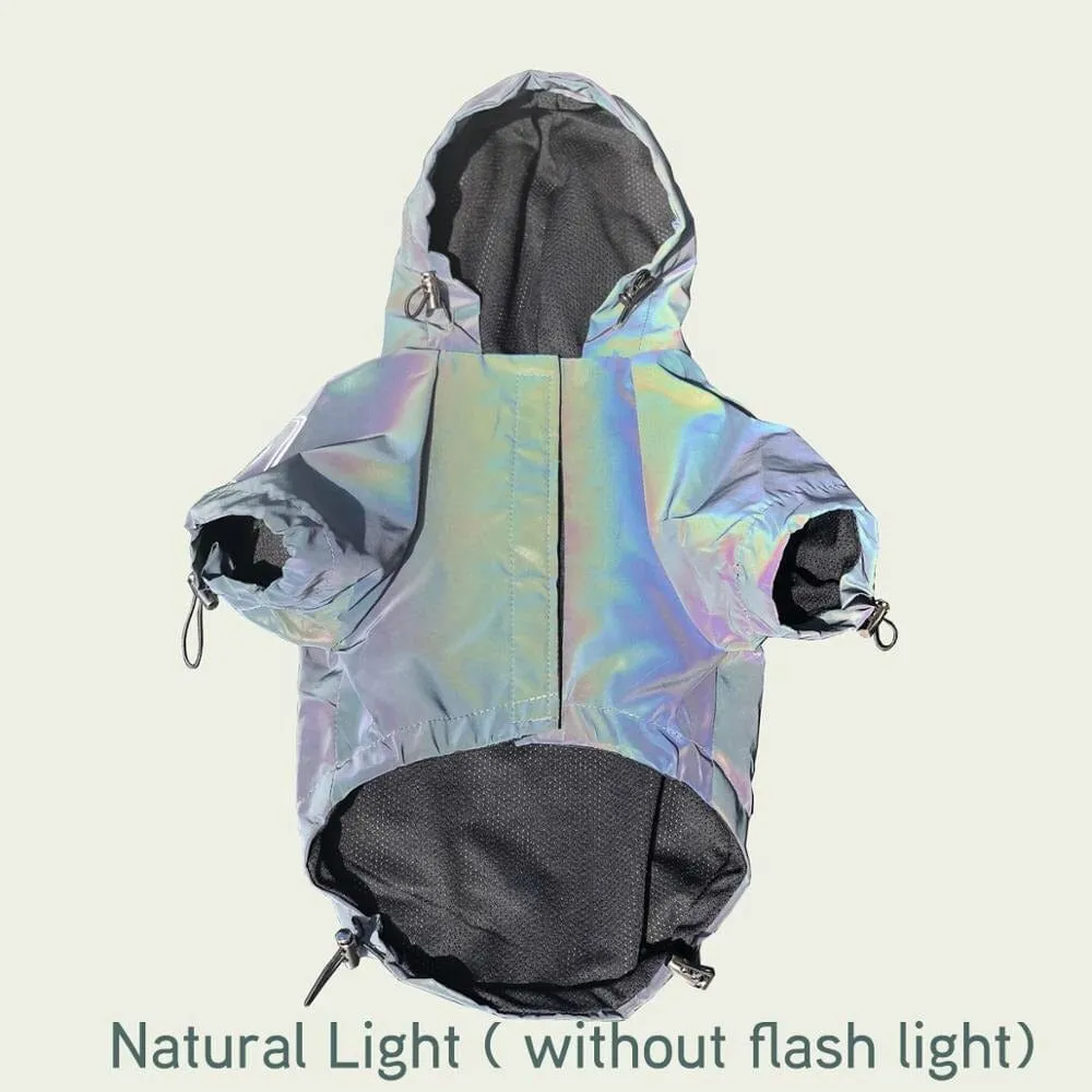 Holographic Dachshund Jacket