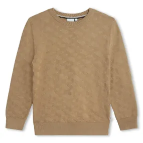 Hugo Boss Stone Sweater