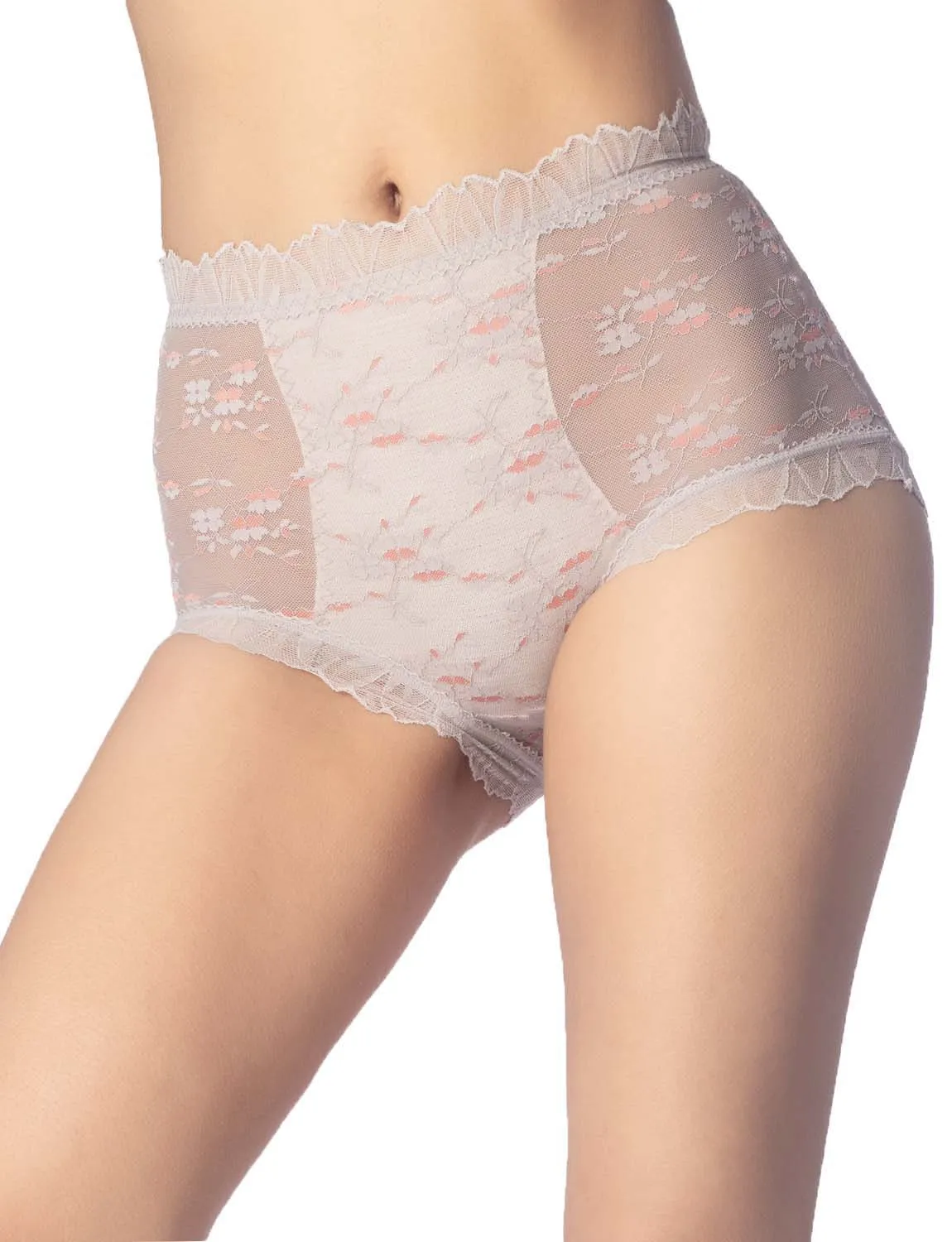 iB-iP Women's Sheer Lace Trim See Through Transparent Mesh High Waisted Hipster Panties