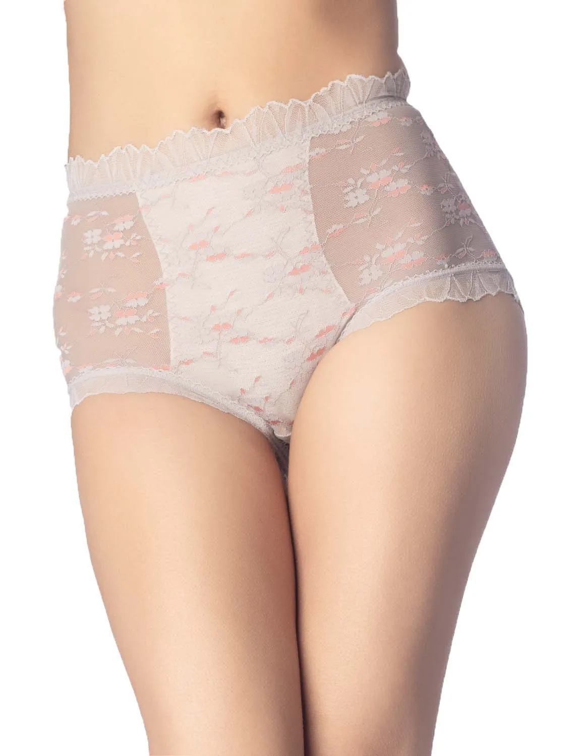 iB-iP Women's Sheer Lace Trim See Through Transparent Mesh High Waisted Hipster Panties