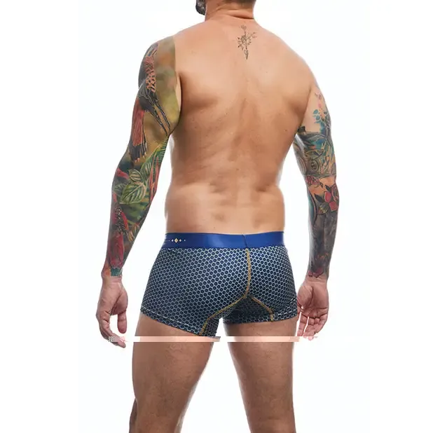 Male Basics Hipster Trunk Andalucia