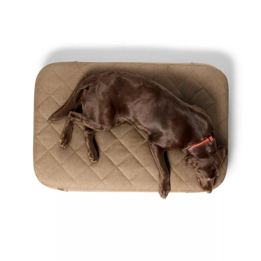 Orvis RecoveryZone™ Lounger Dog Bed 2024