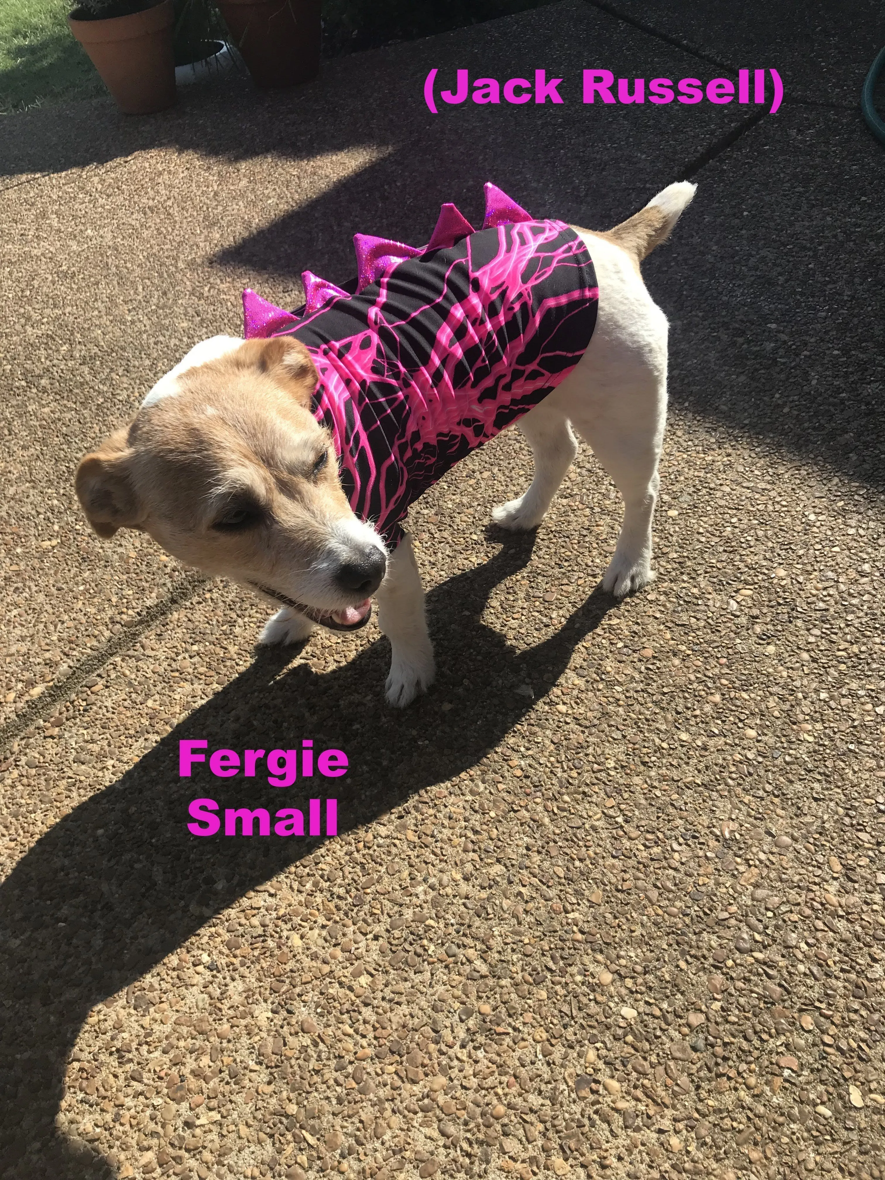 Pink Lightning Dragon Spiked Pet Shirt